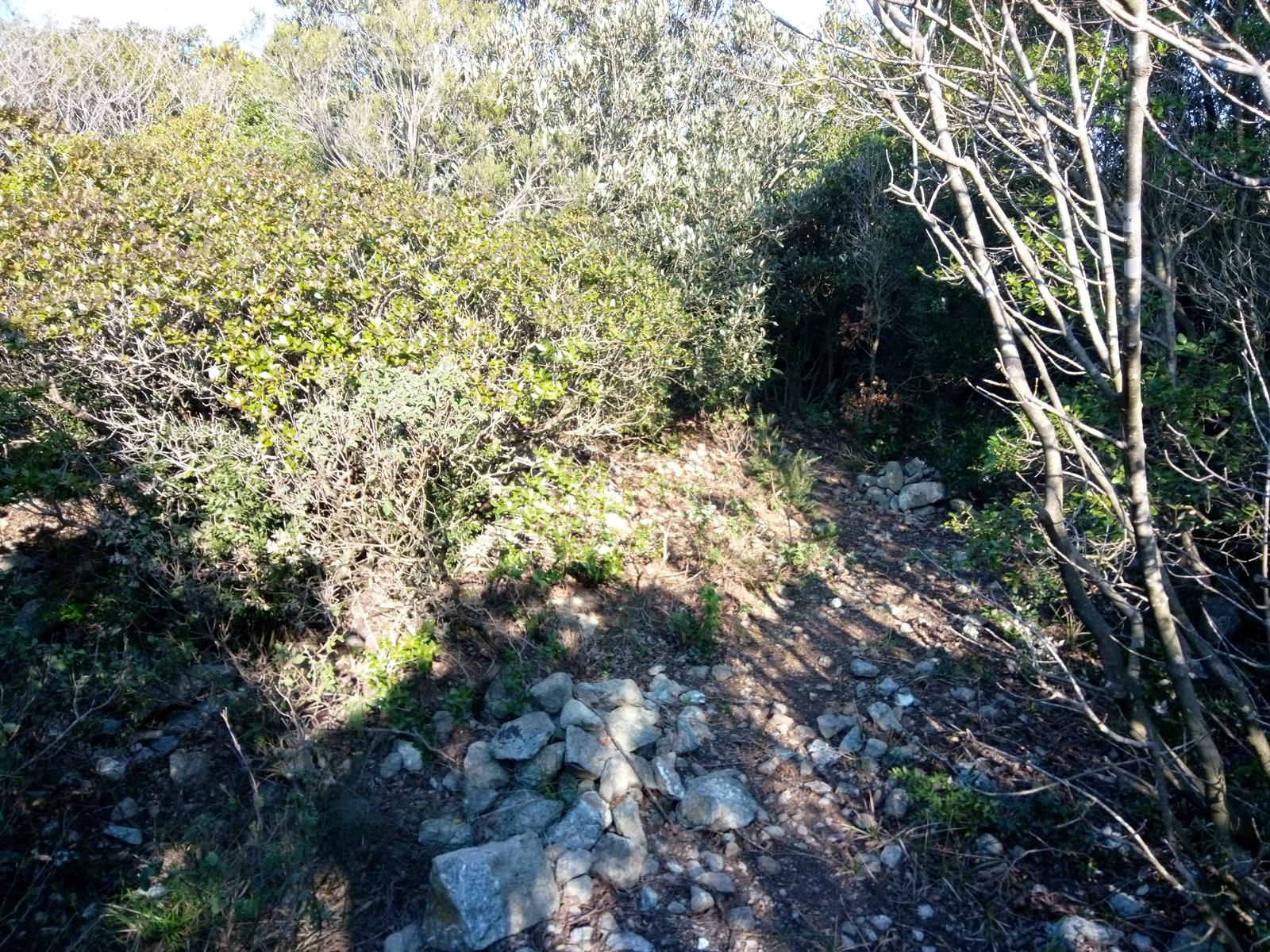 Valle Benedetta - Monte pan di zucchero - Monte maggiore - acquedotto di Colognole - foto 9