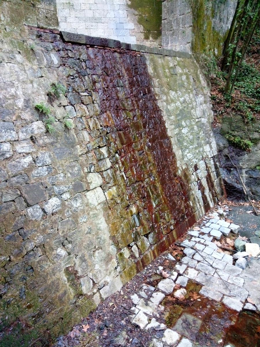 Valle Benedetta - Monte pan di zucchero - Monte maggiore - acquedotto di Colognole - foto 10