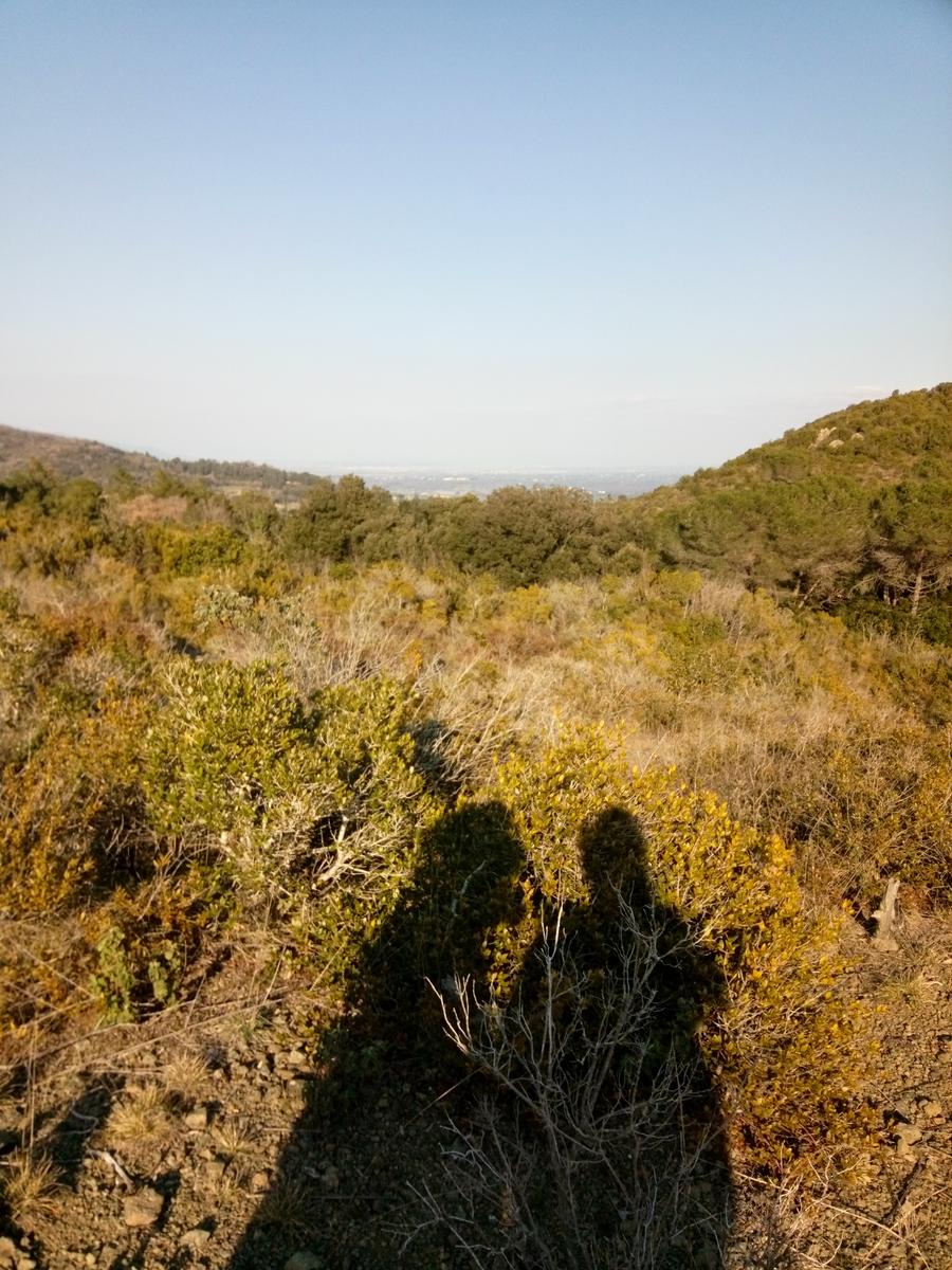 Valle Benedetta - Monte pan di zucchero - Monte maggiore - acquedotto di Colognole - foto 14