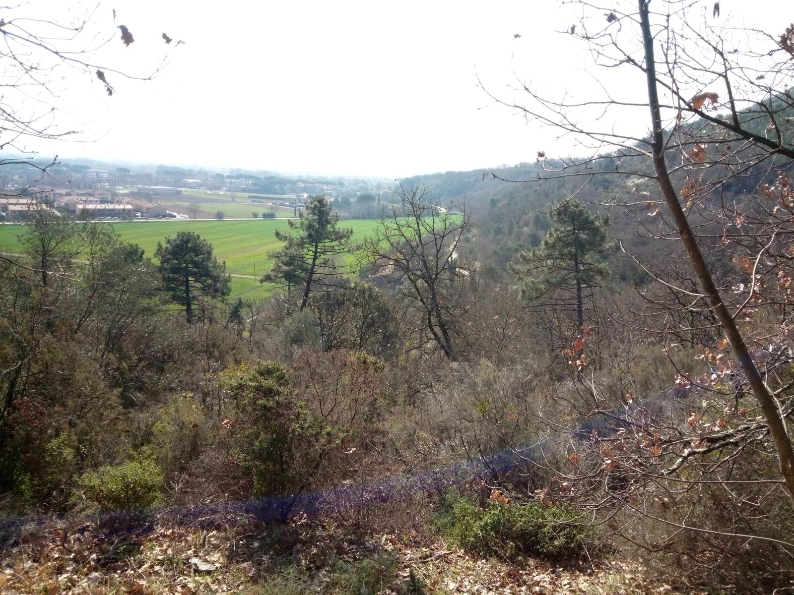 Vicopisano - Rocca della Verruca - foto 3