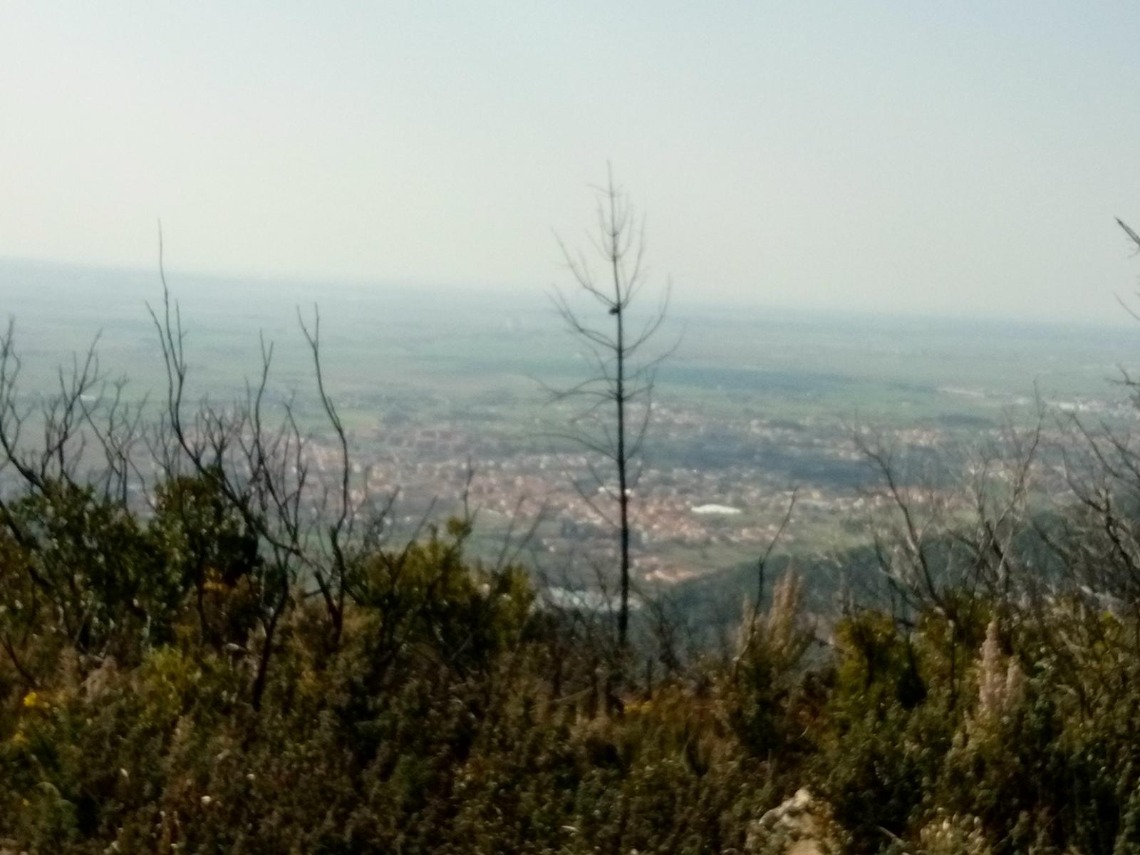 Vicopisano - Rocca della Verruca - foto 5