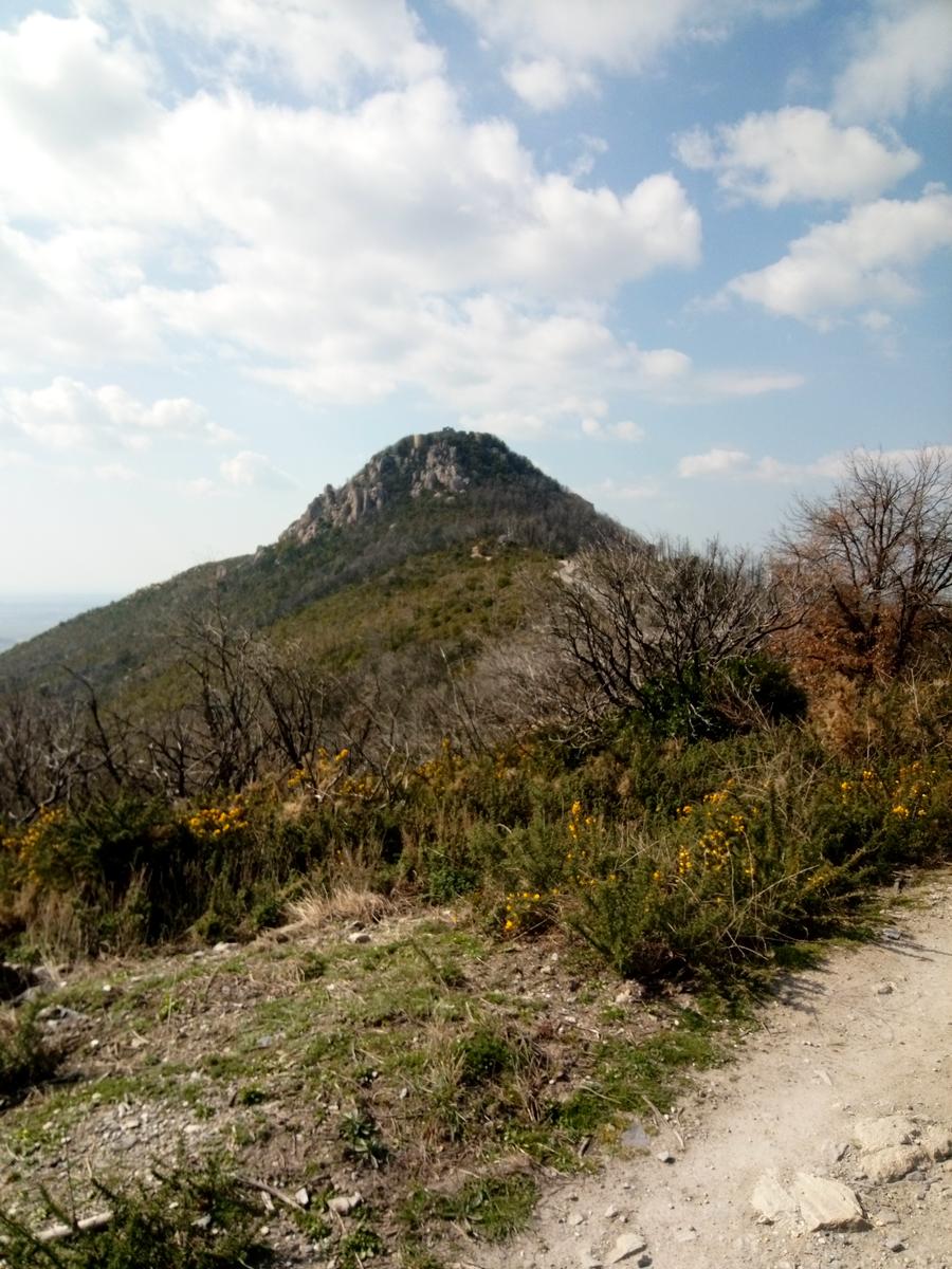 Vicopisano - Rocca della Verruca - foto 6