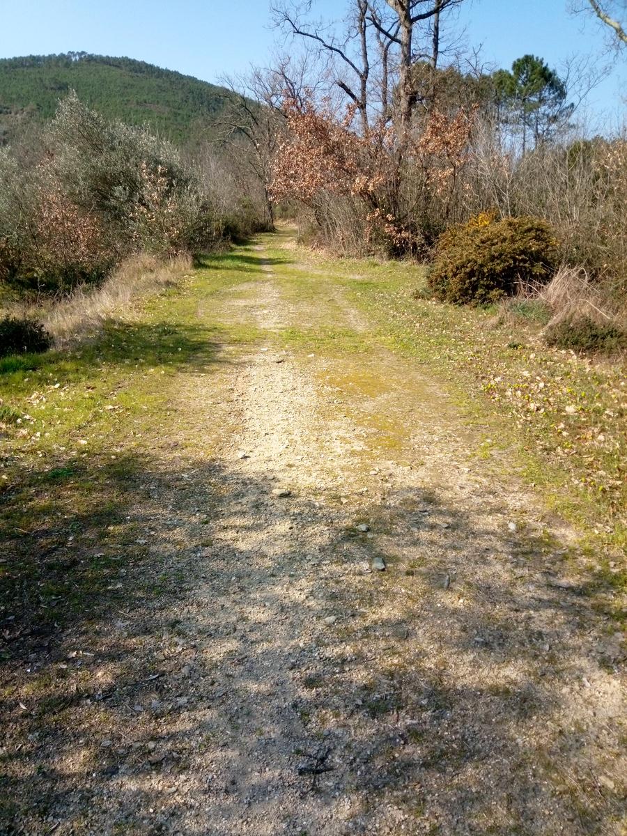 Vicopisano - Rocca della Verruca - foto 8