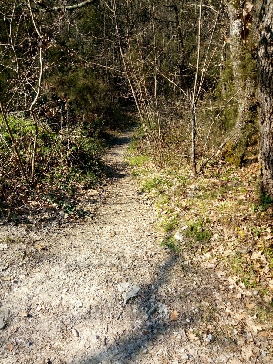 Vicopisano - Rocca della Verruca - foto 9