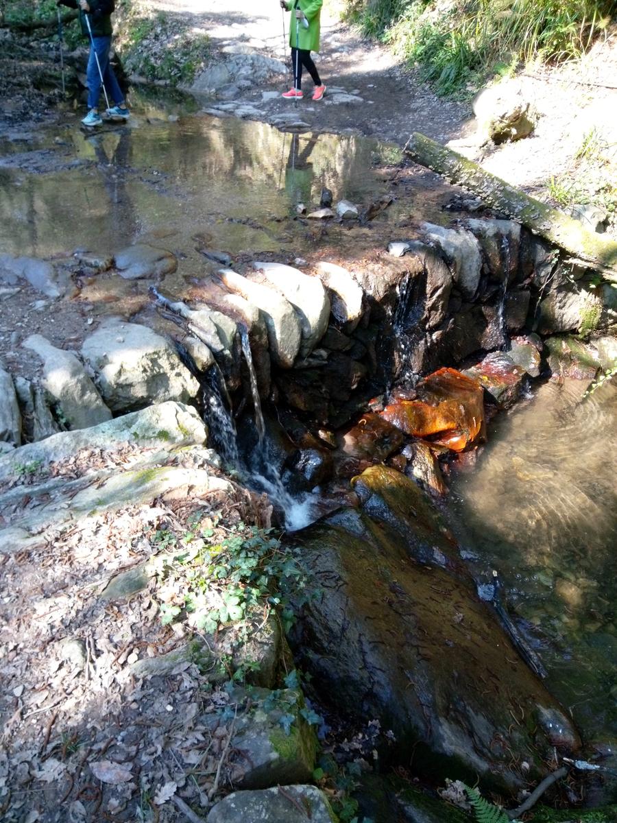 Vicopisano - Rocca della Verruca - foto 10