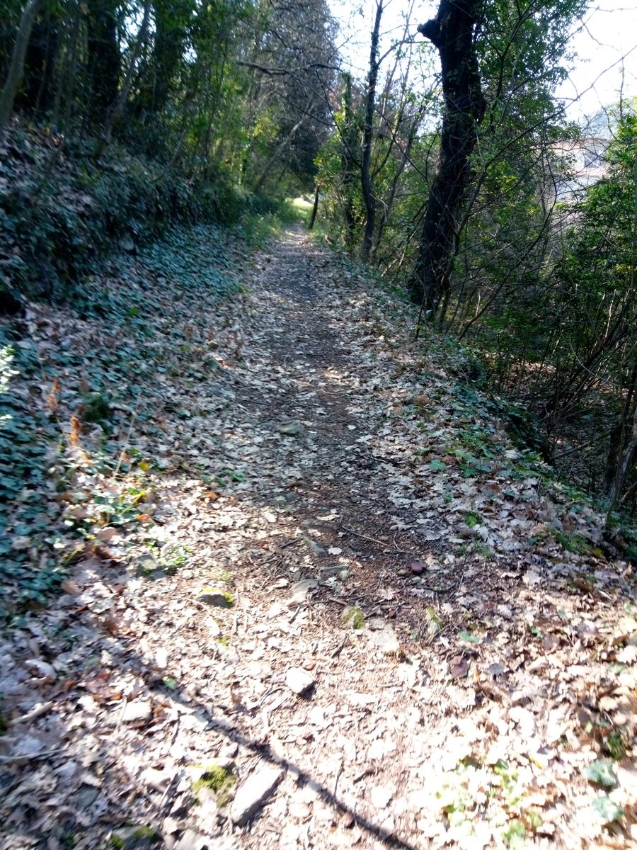 Vicopisano - Rocca della Verruca - foto 13