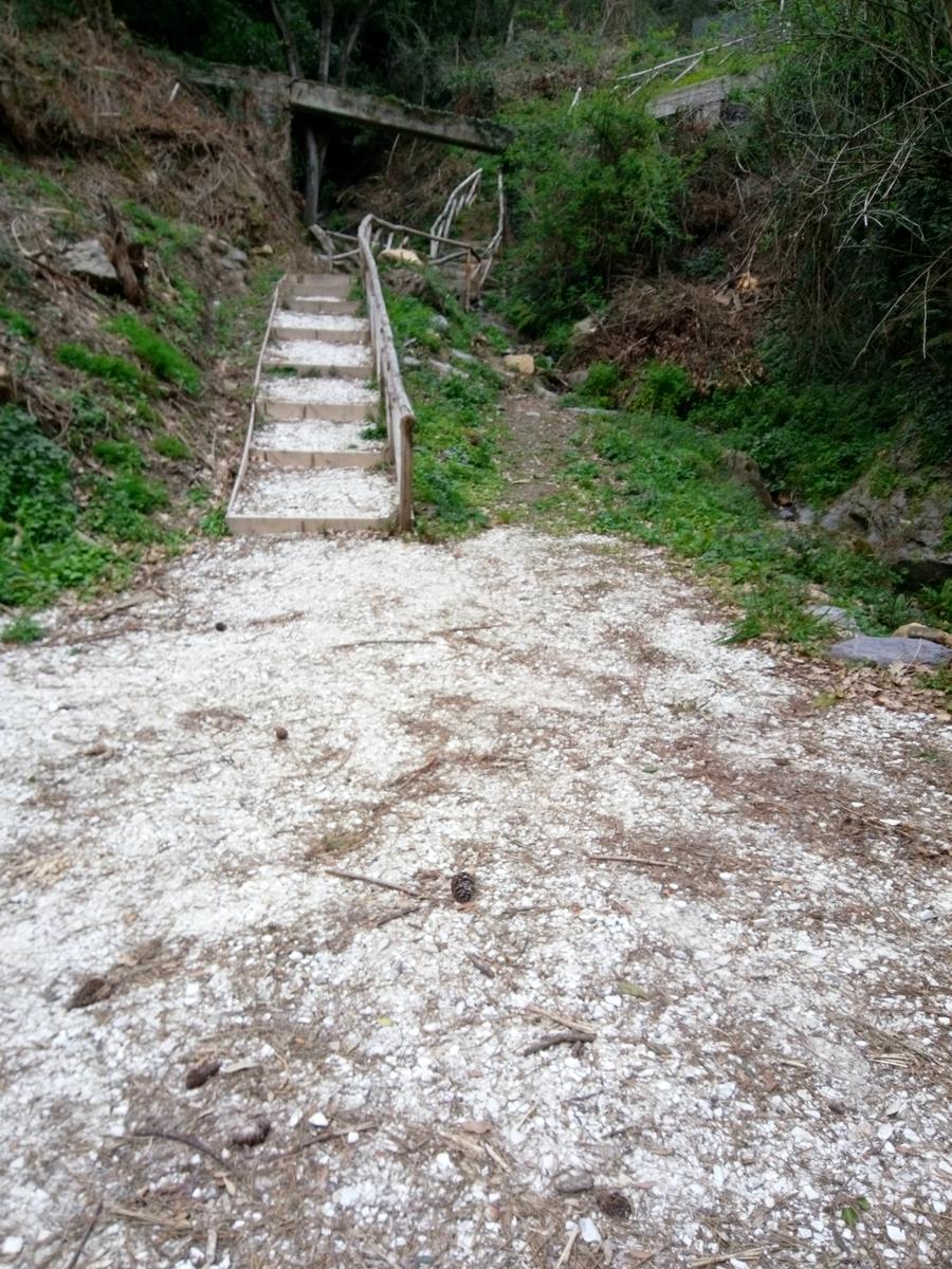 Vicopisano - Rocca della Verruca - foto 15