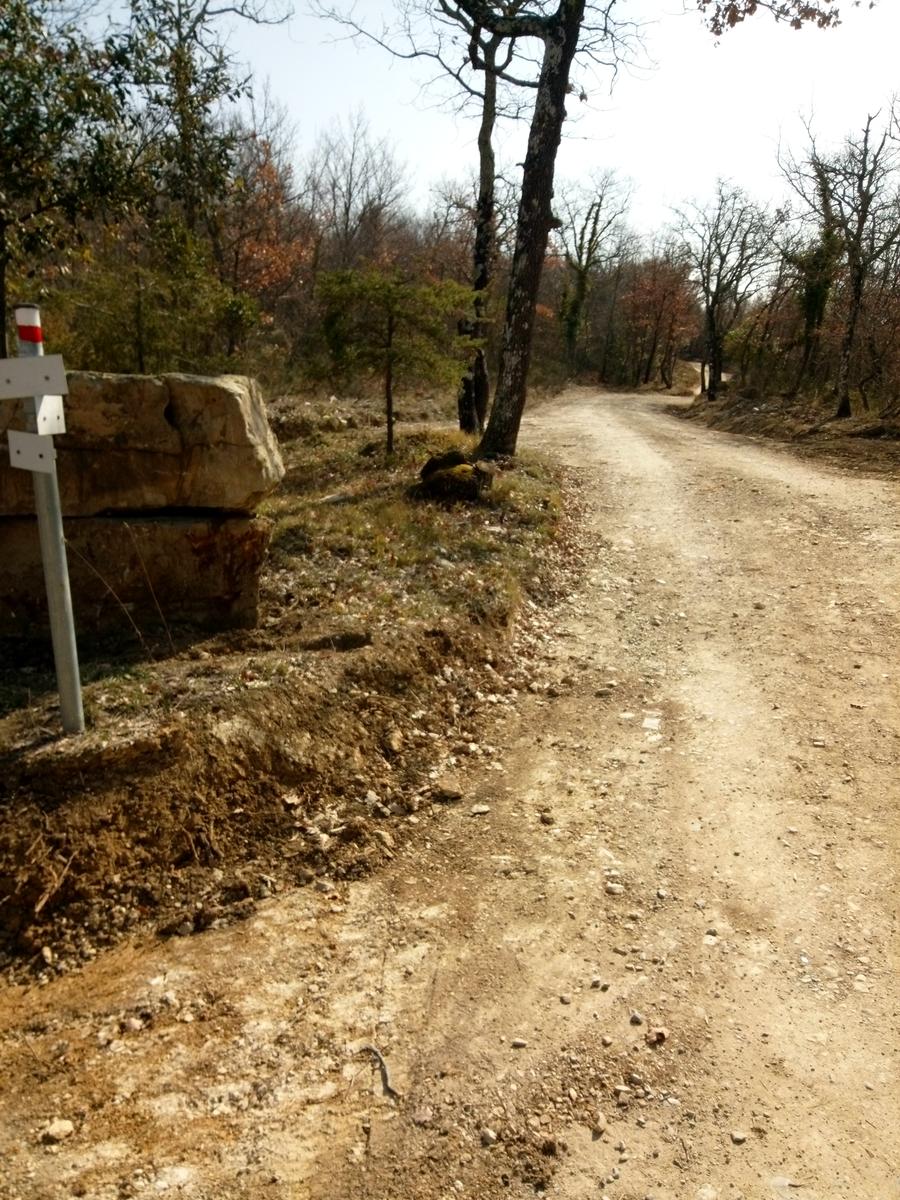 Sambuca - Chianti - Vigne - foto 2