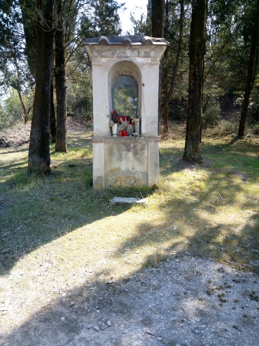 Sambuca - Chianti - Vigne - foto 3