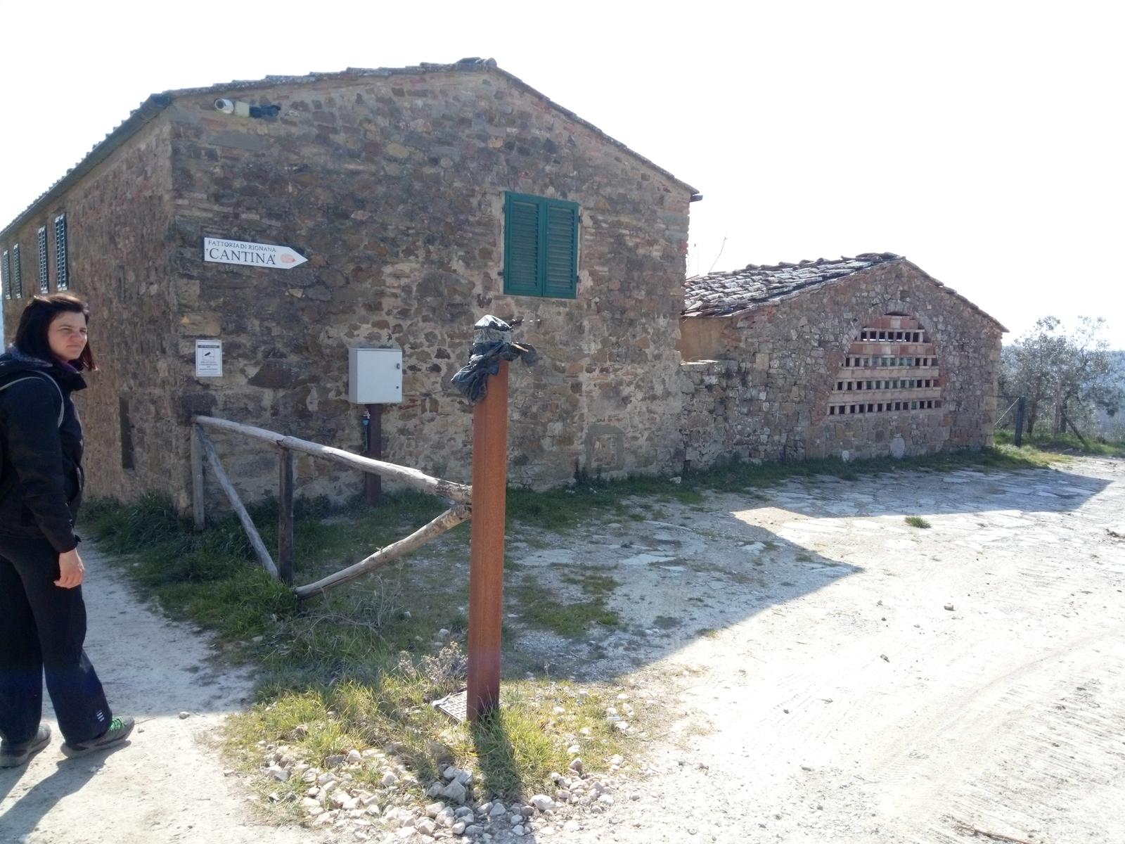 Sambuca - Chianti - Vigne - foto 4