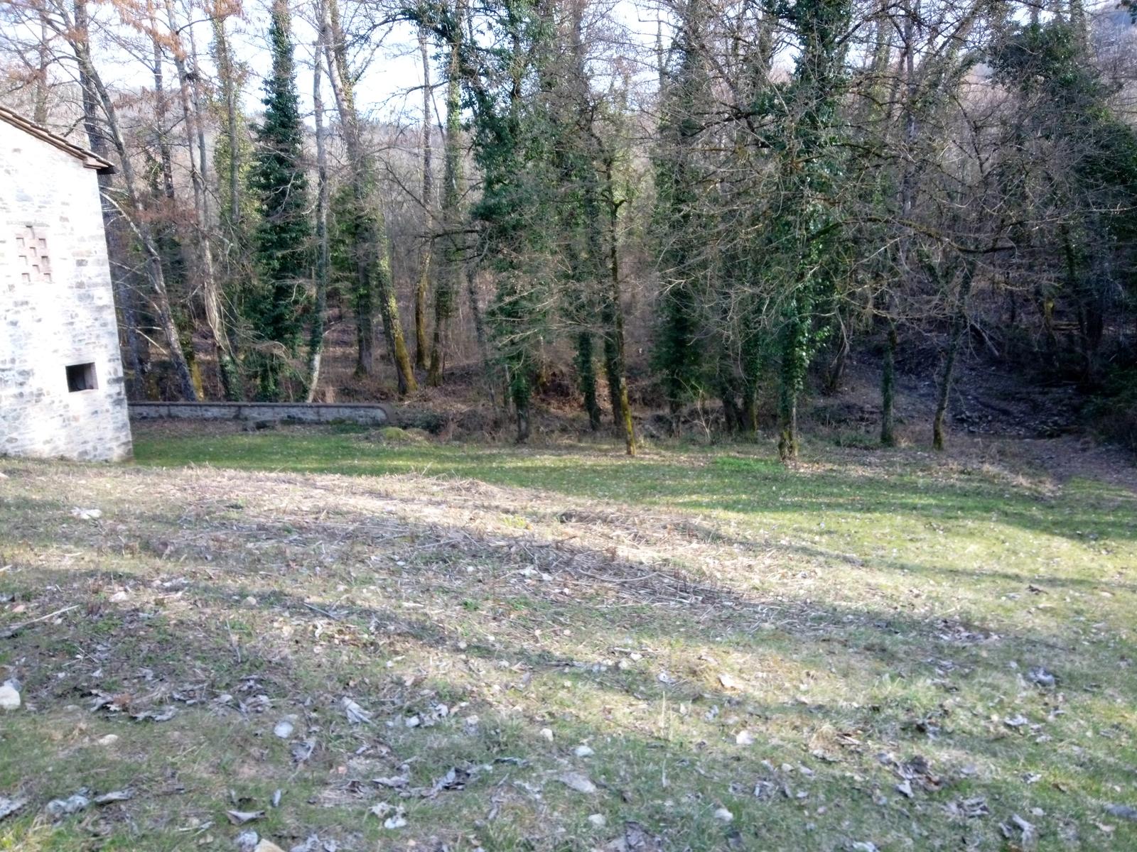 Sambuca - Chianti - Vigne - foto 6