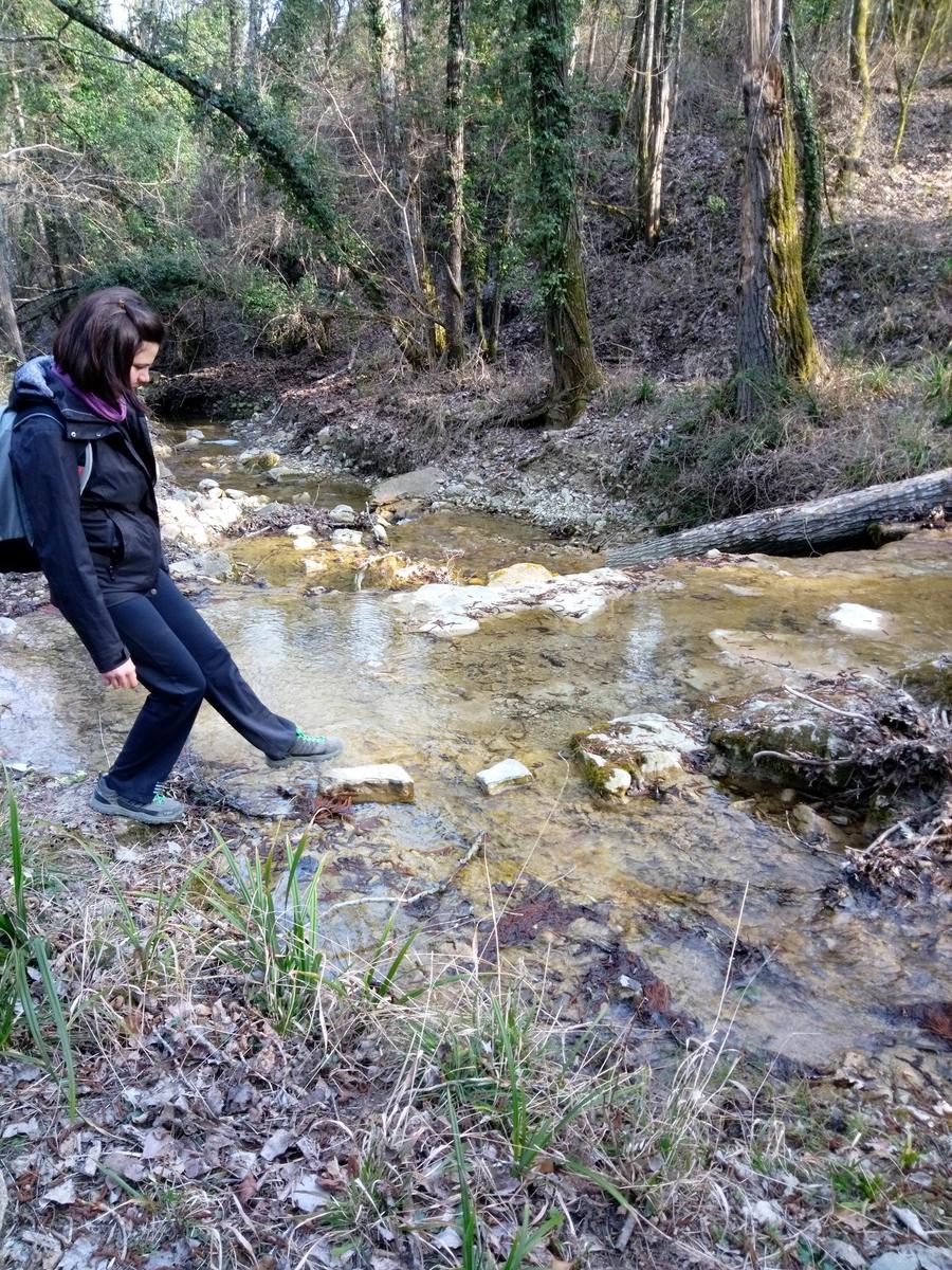 Sambuca - Chianti - Vigne - foto 7