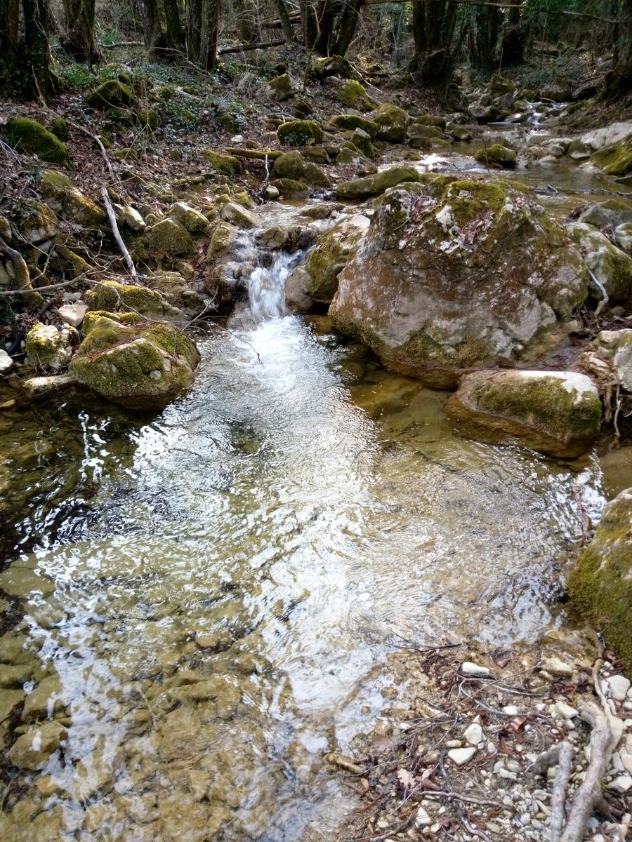 Sambuca - Chianti - Vigne