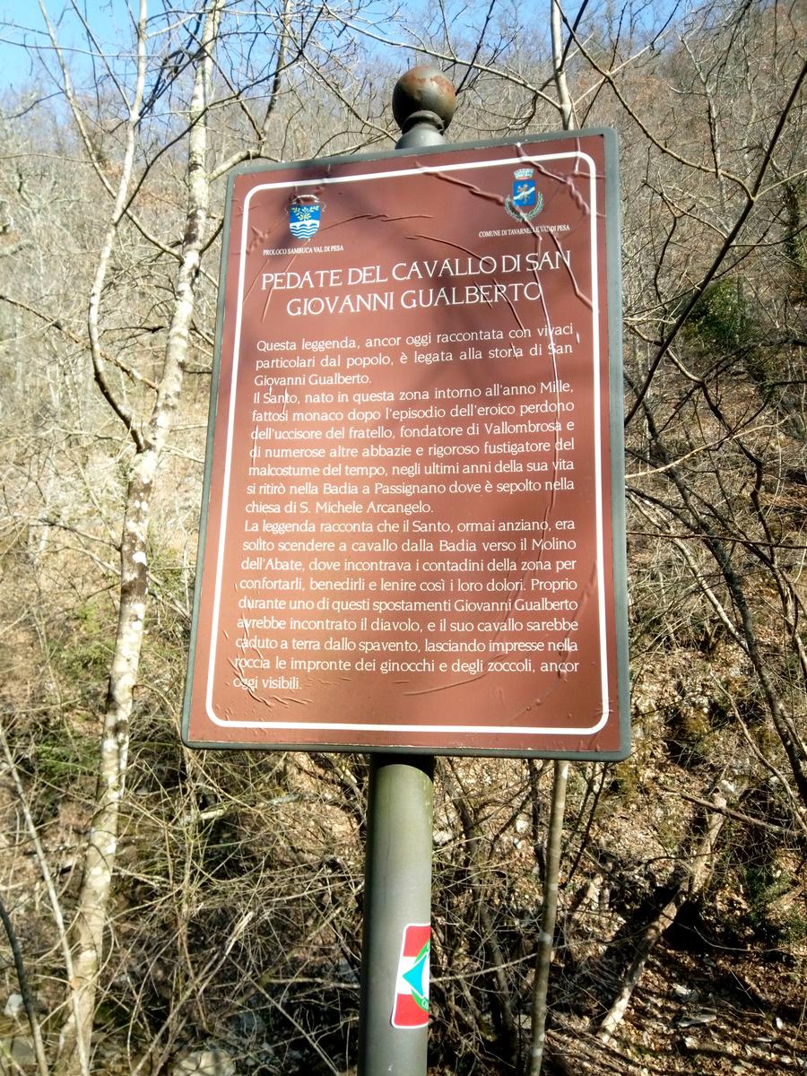 Sambuca - Chianti - Vigne - foto 9