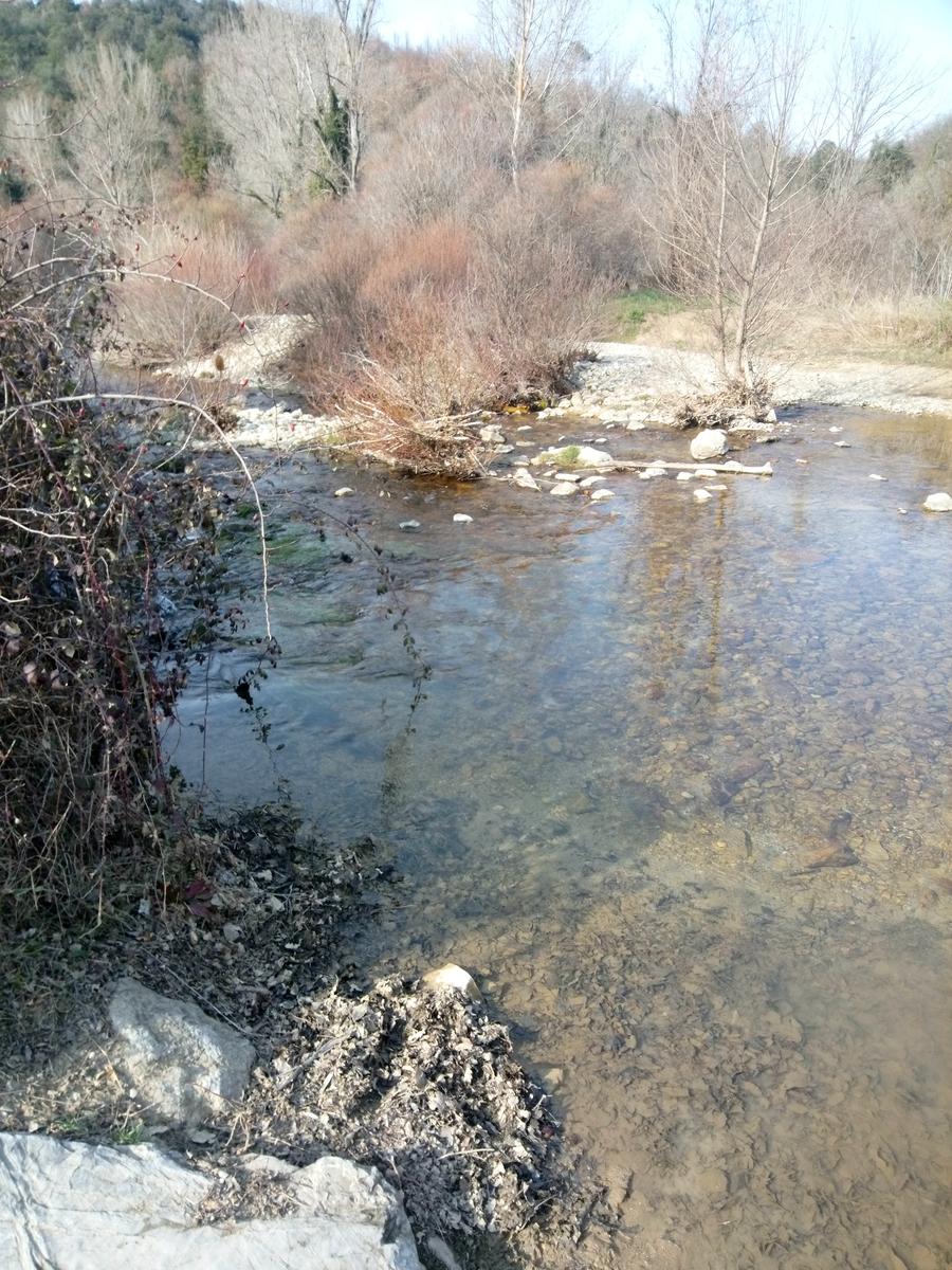 Sambuca - Chianti - Vigne - foto 15