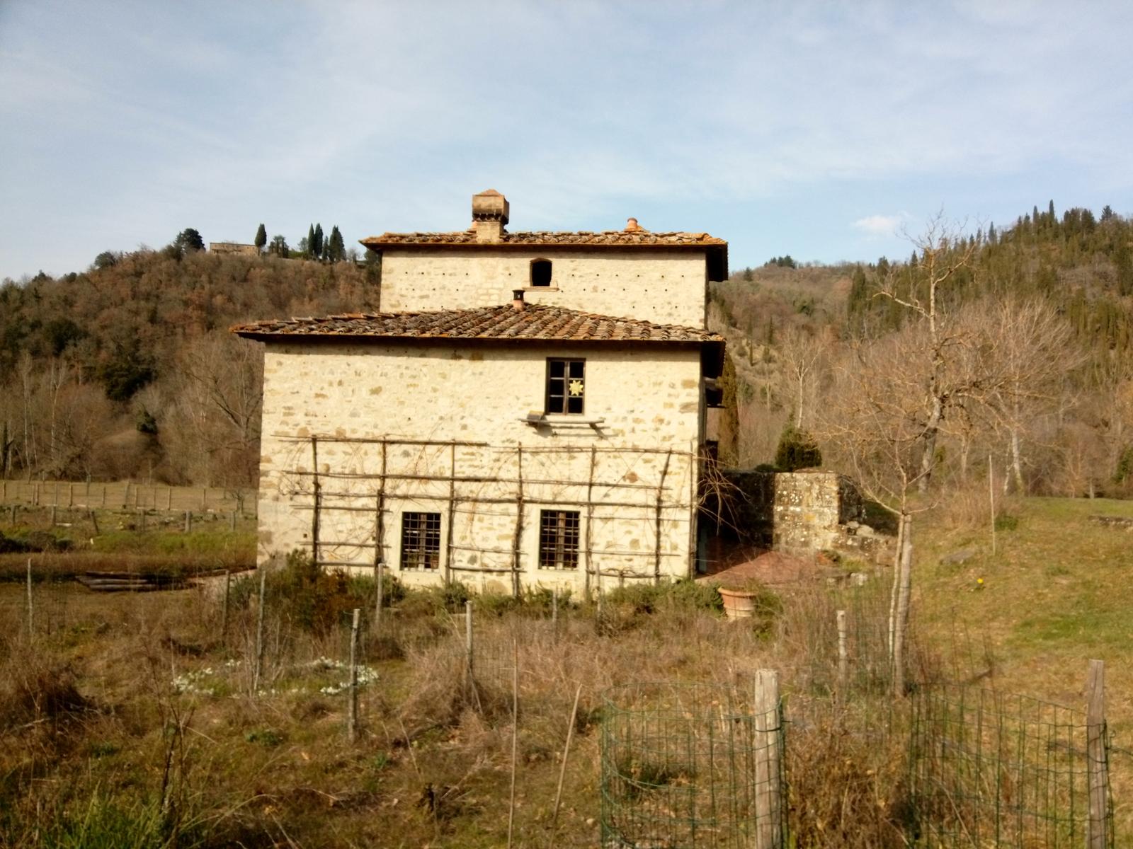 Sambuca - Chianti - Vigne - foto 16