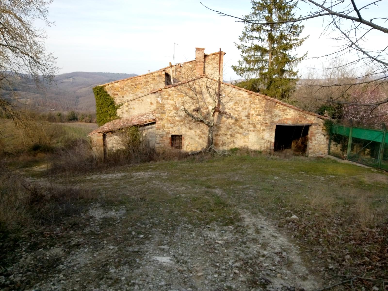 Sambuca - Chianti - Vigne - foto 17