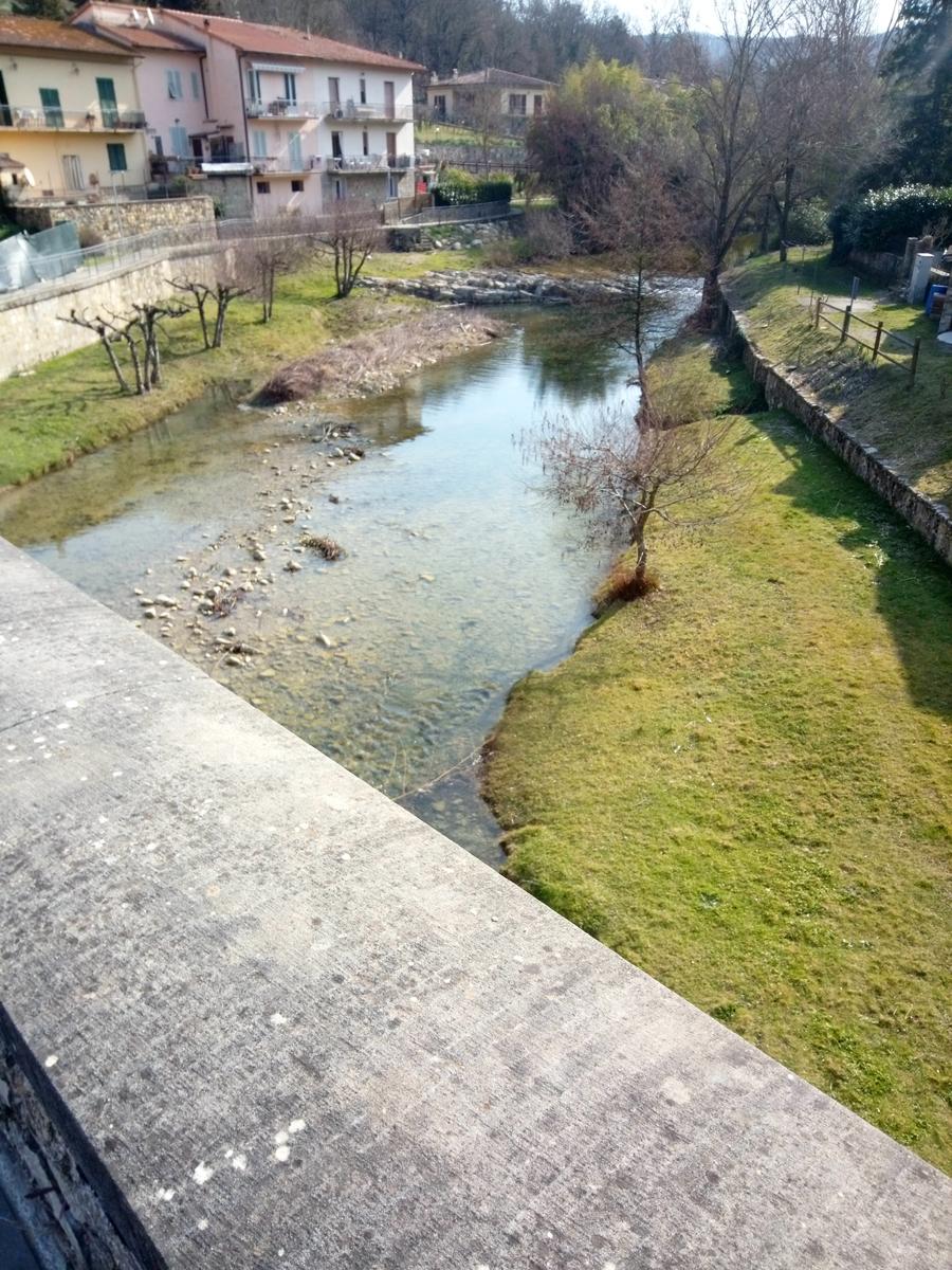 Sambuca - Chianti - Vigne - foto 18