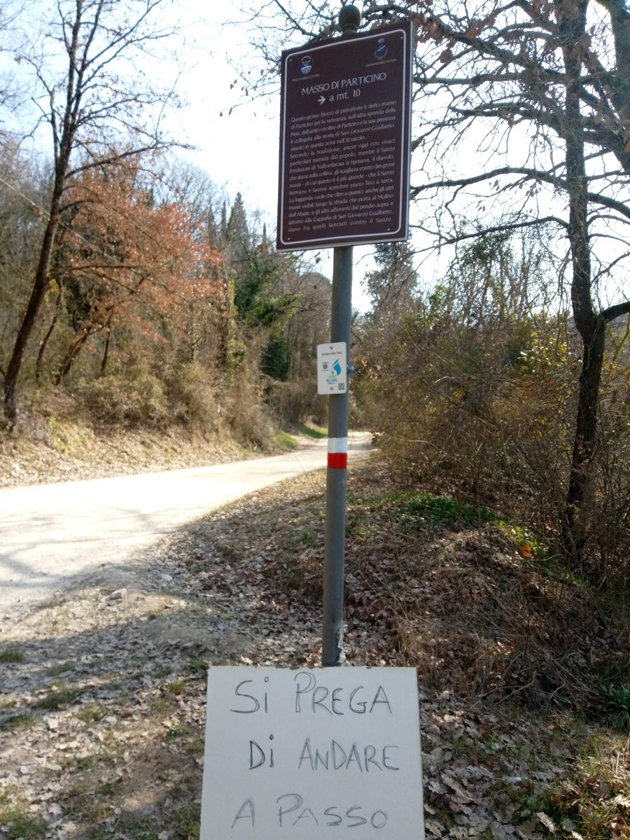 Sambuca - Chianti - Vigne - foto 19