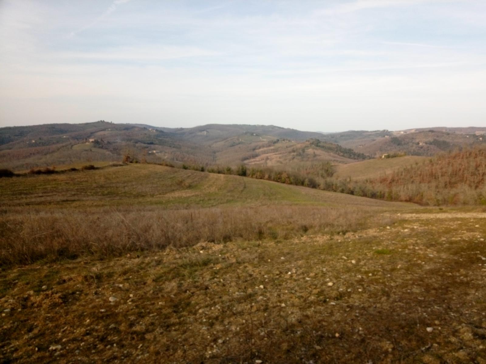 Sambuca - Chianti - Vigne - foto 21