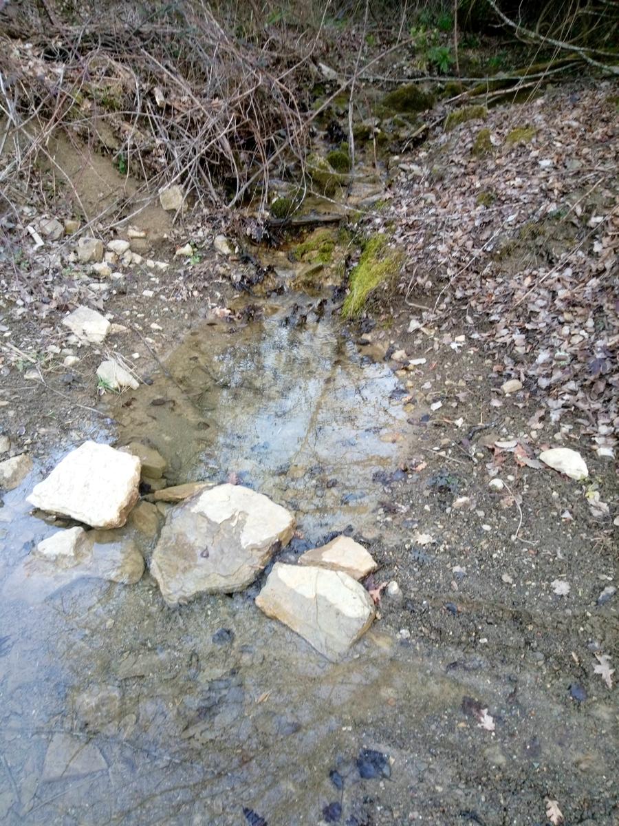 Sambuca - Chianti - Vigne - foto 22