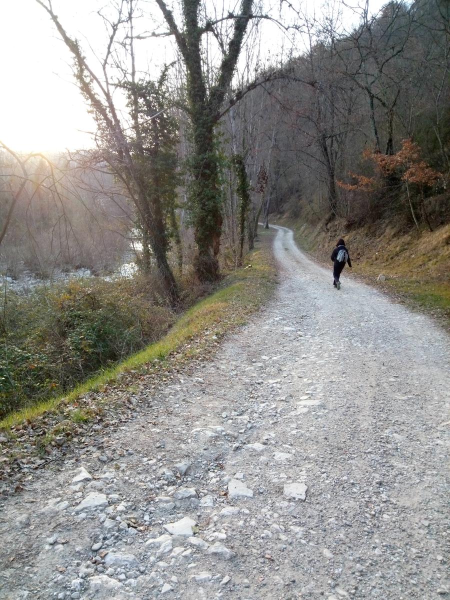 Sambuca - Chianti - Vigne - foto 24