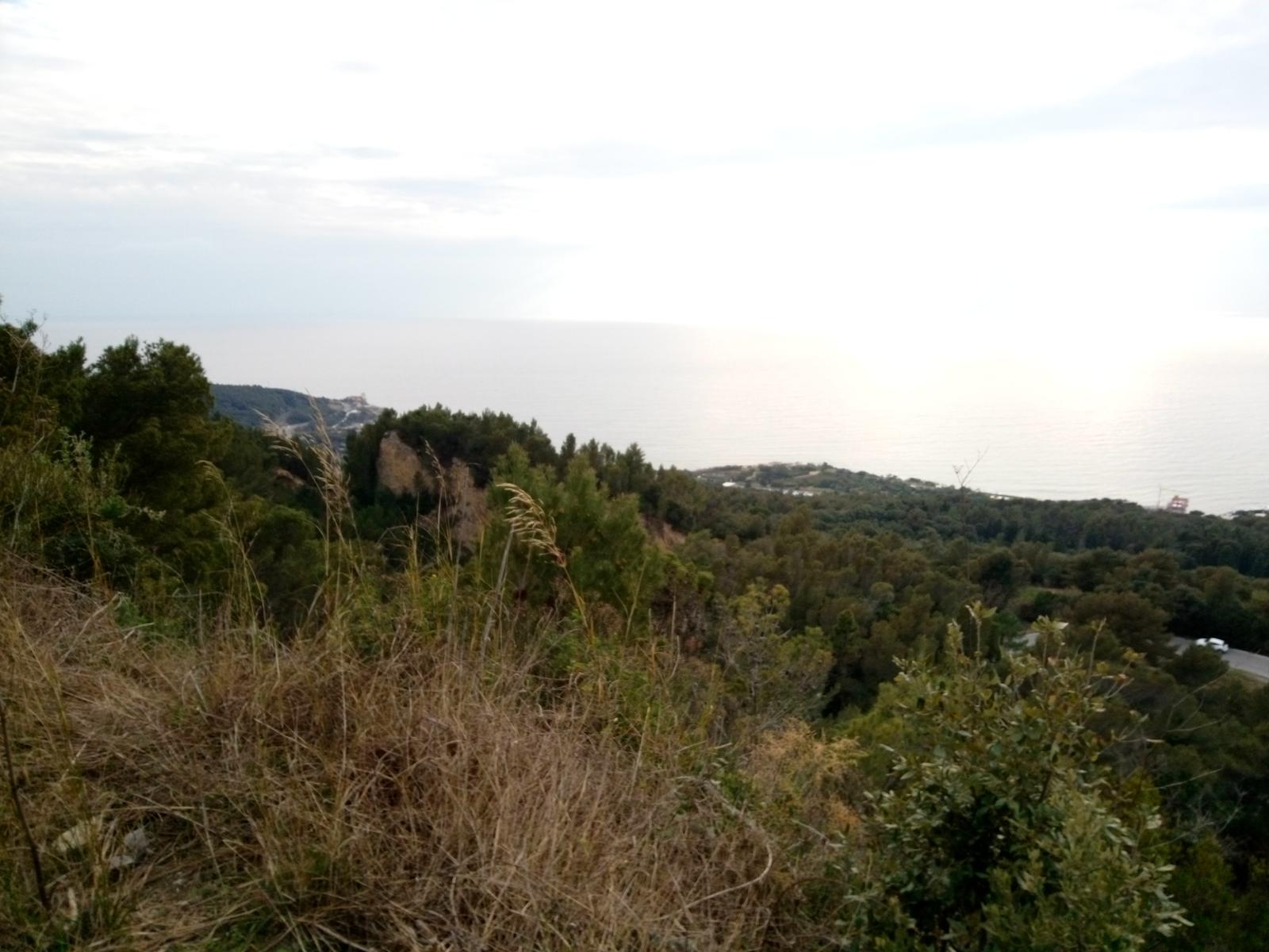 Montenero - Ciano - foto 2