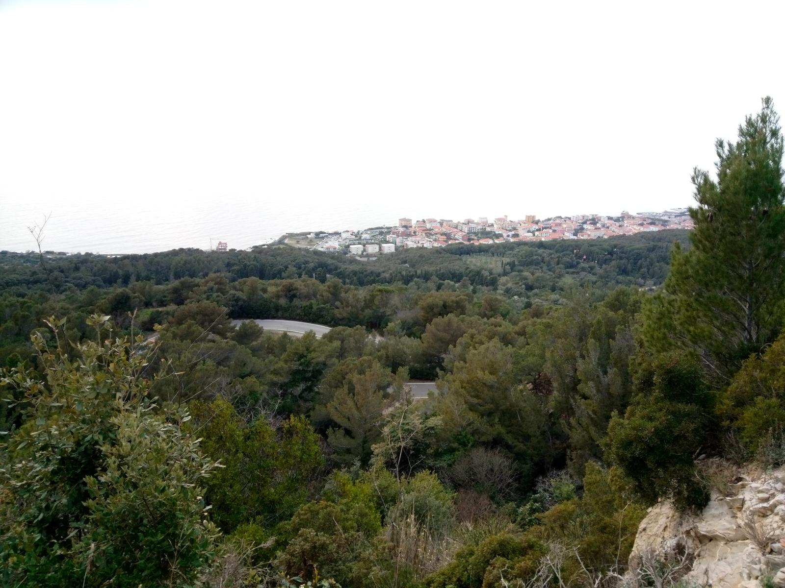 Montenero - Ciano - foto 3