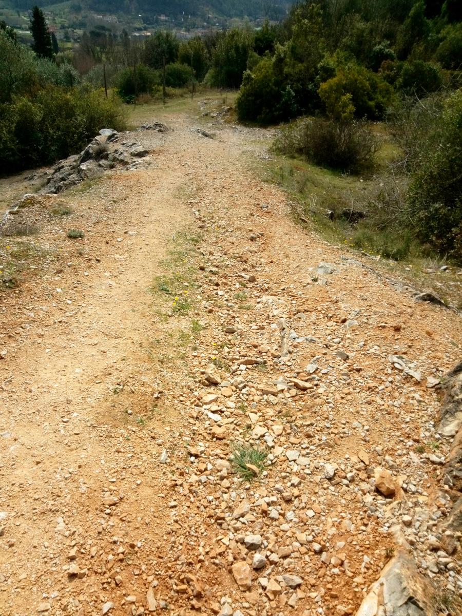 Direttissima Moriglione di Penna - Monte Penna - foto 3