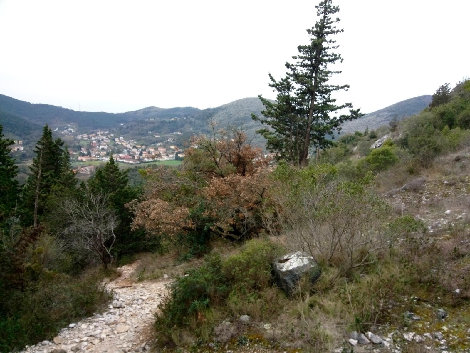 Direttissima Moriglione di Penna - Monte Penna - foto 8