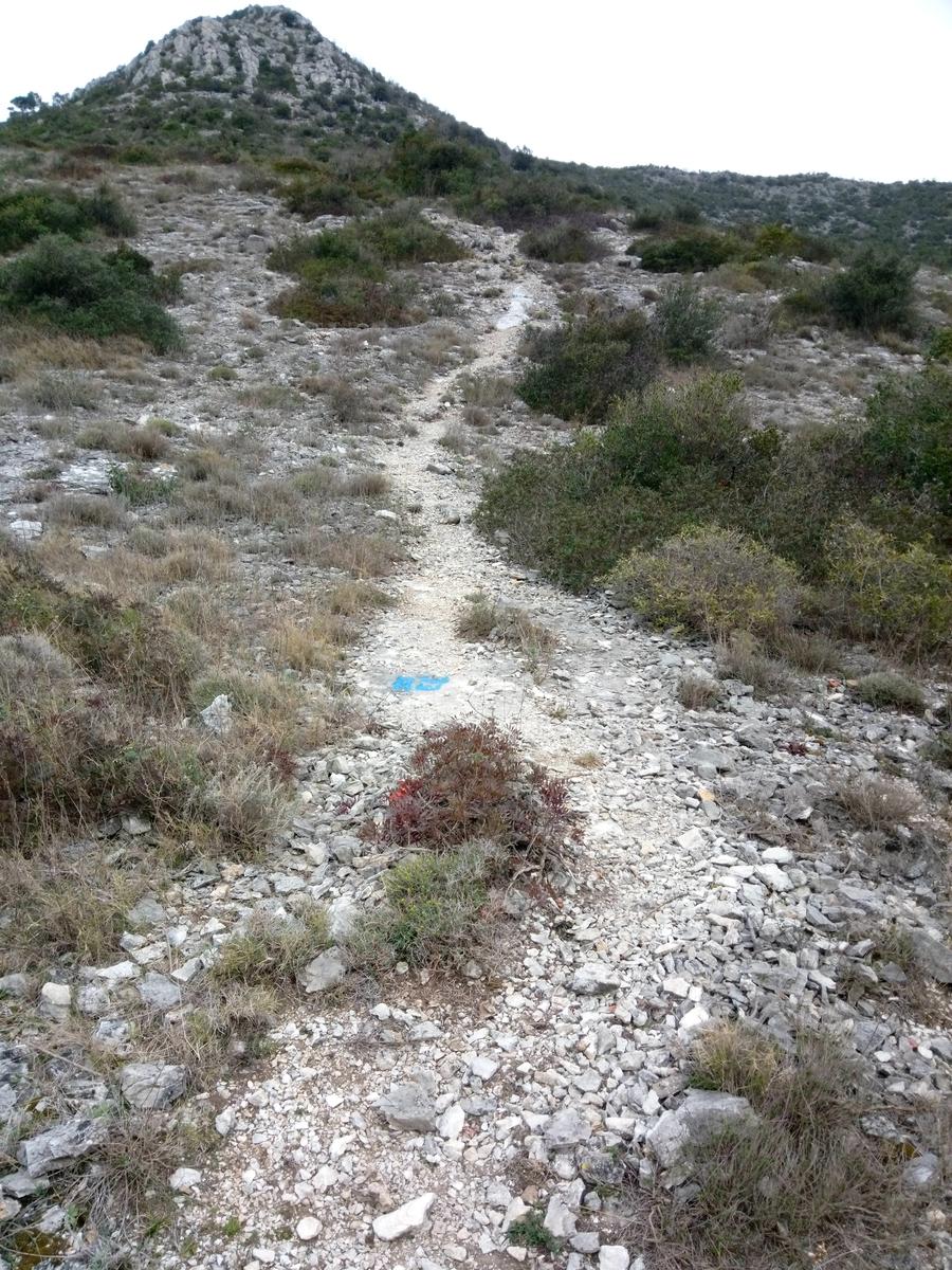 Direttissima Moriglione di Penna - Monte Penna - foto 9