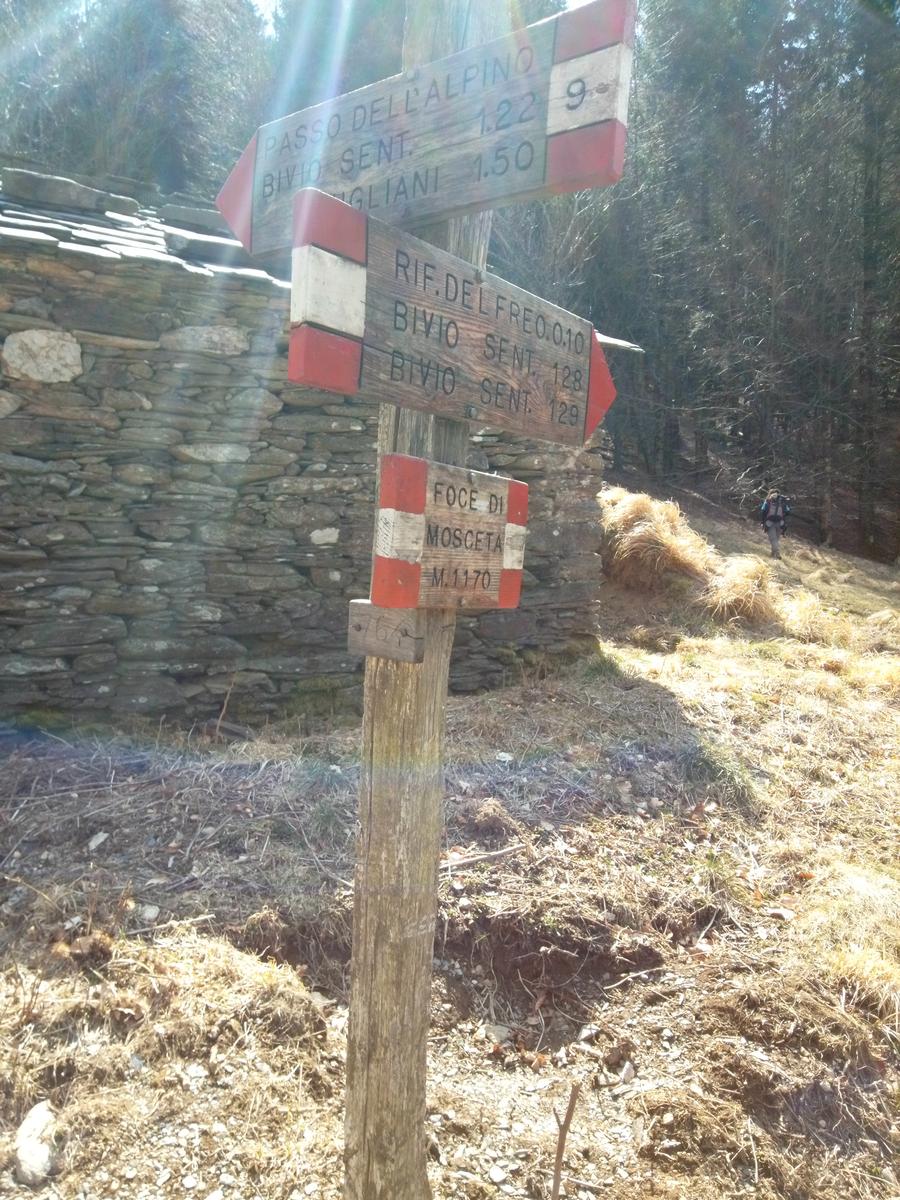 Isola Santa - Del Freo - Anello - foto 4