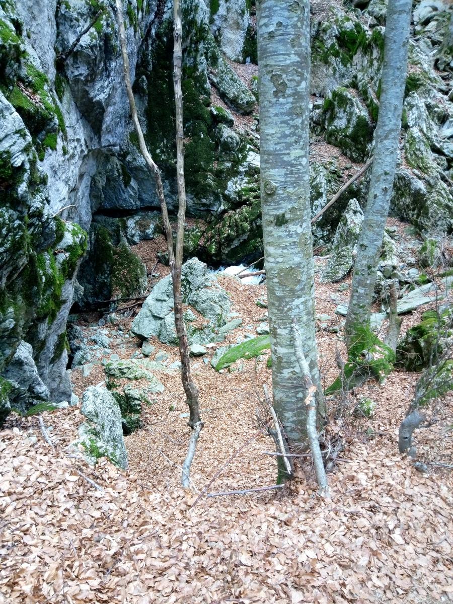 Isola Santa - Del Freo - Anello - foto 6