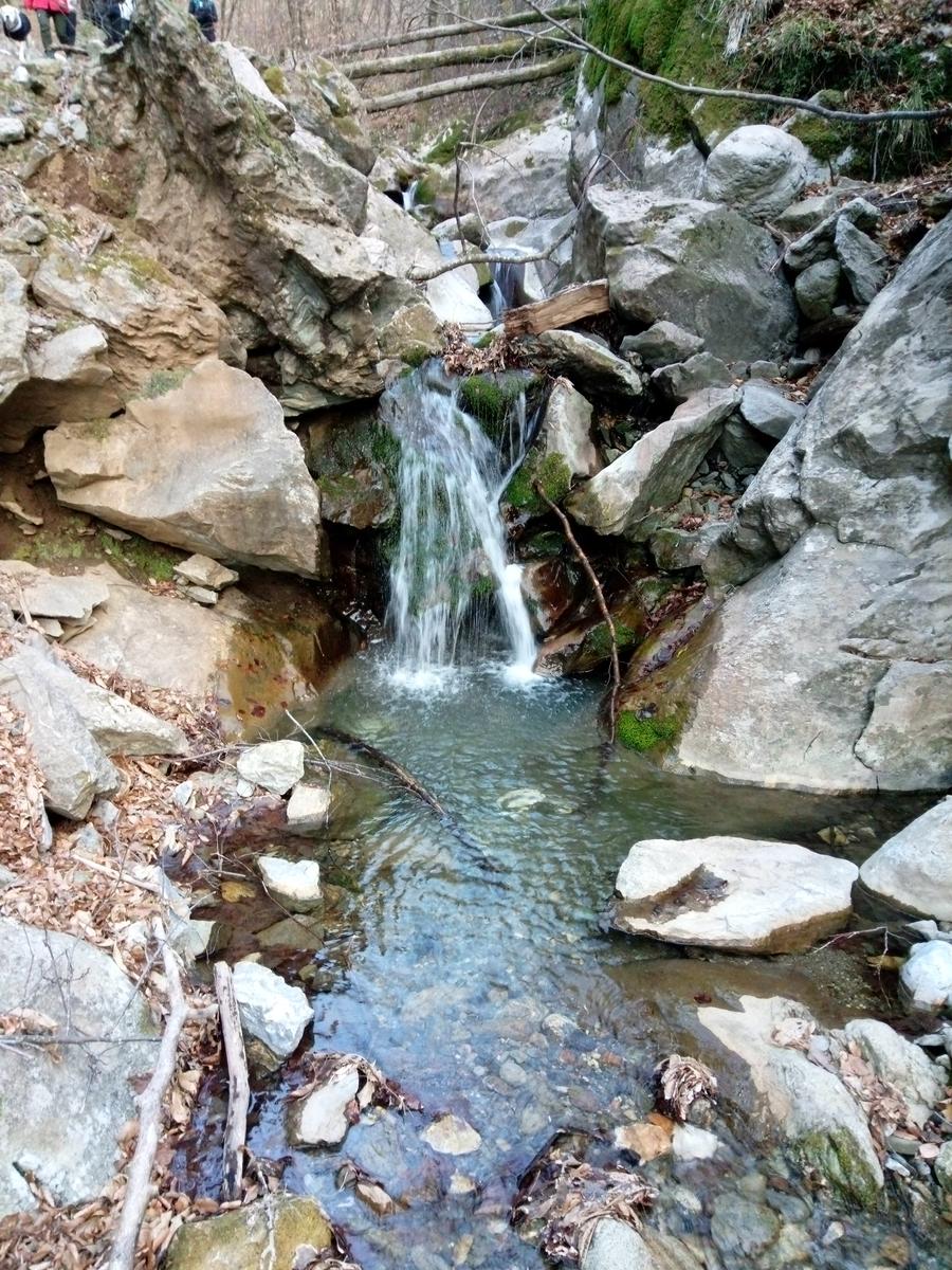 Isola Santa - Del Freo - Anello - foto 7