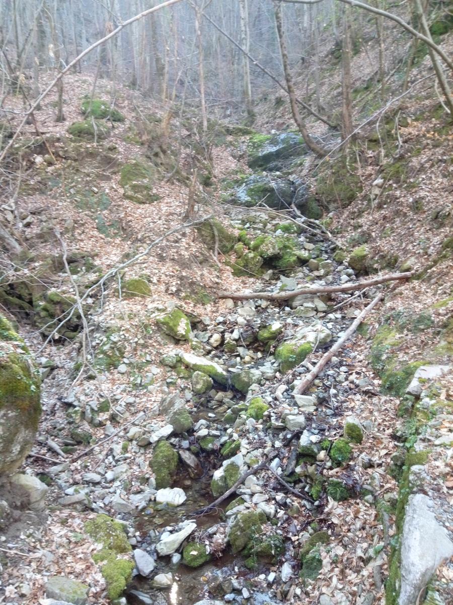 Isola Santa - Del Freo - Anello - foto 10