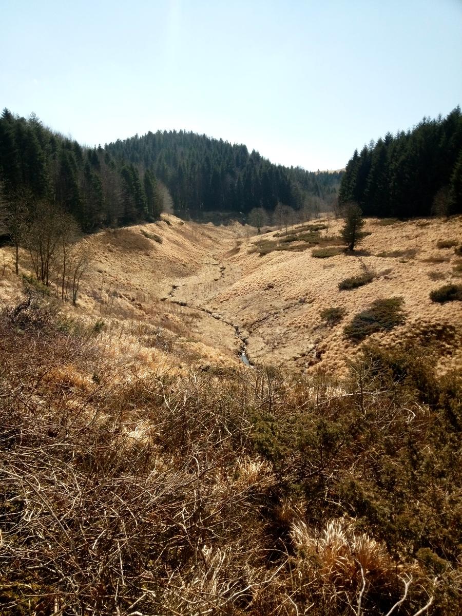 Isola Santa - Del Freo - Anello - foto 11