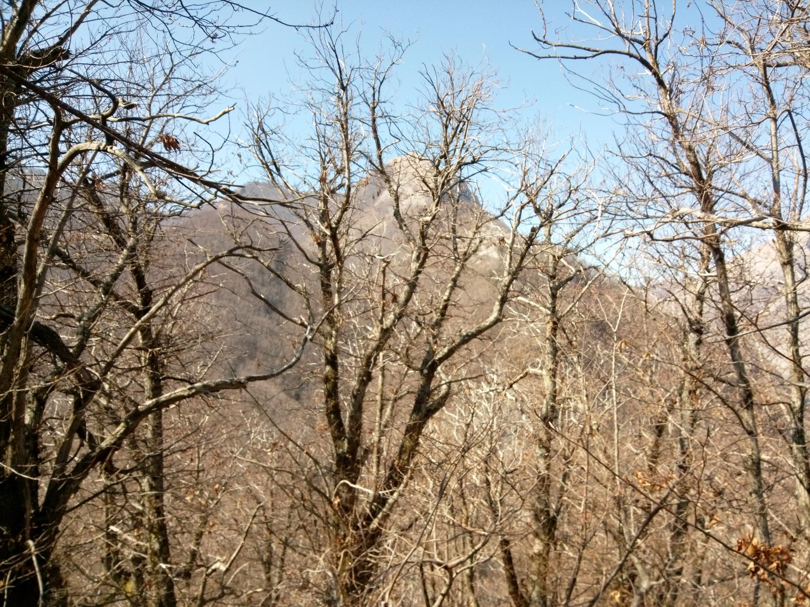 Isola Santa - Del Freo - Anello - foto 14