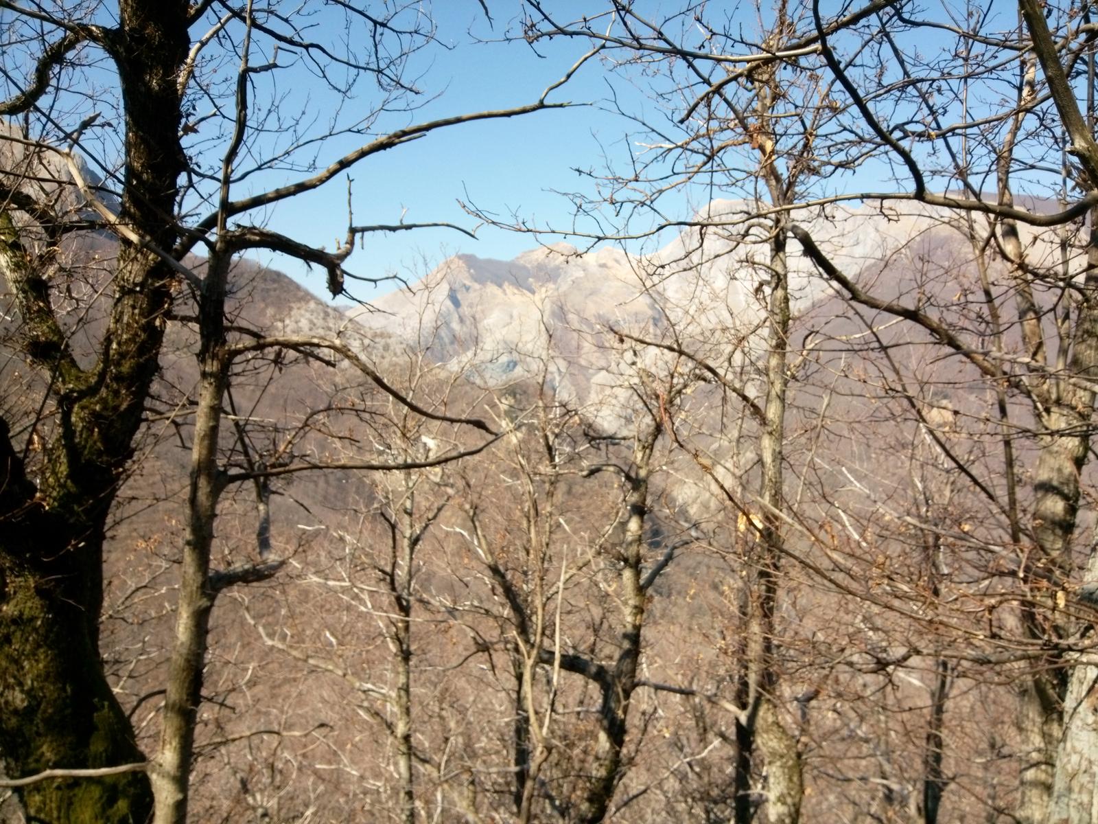 Isola Santa - Del Freo - Anello - foto 15