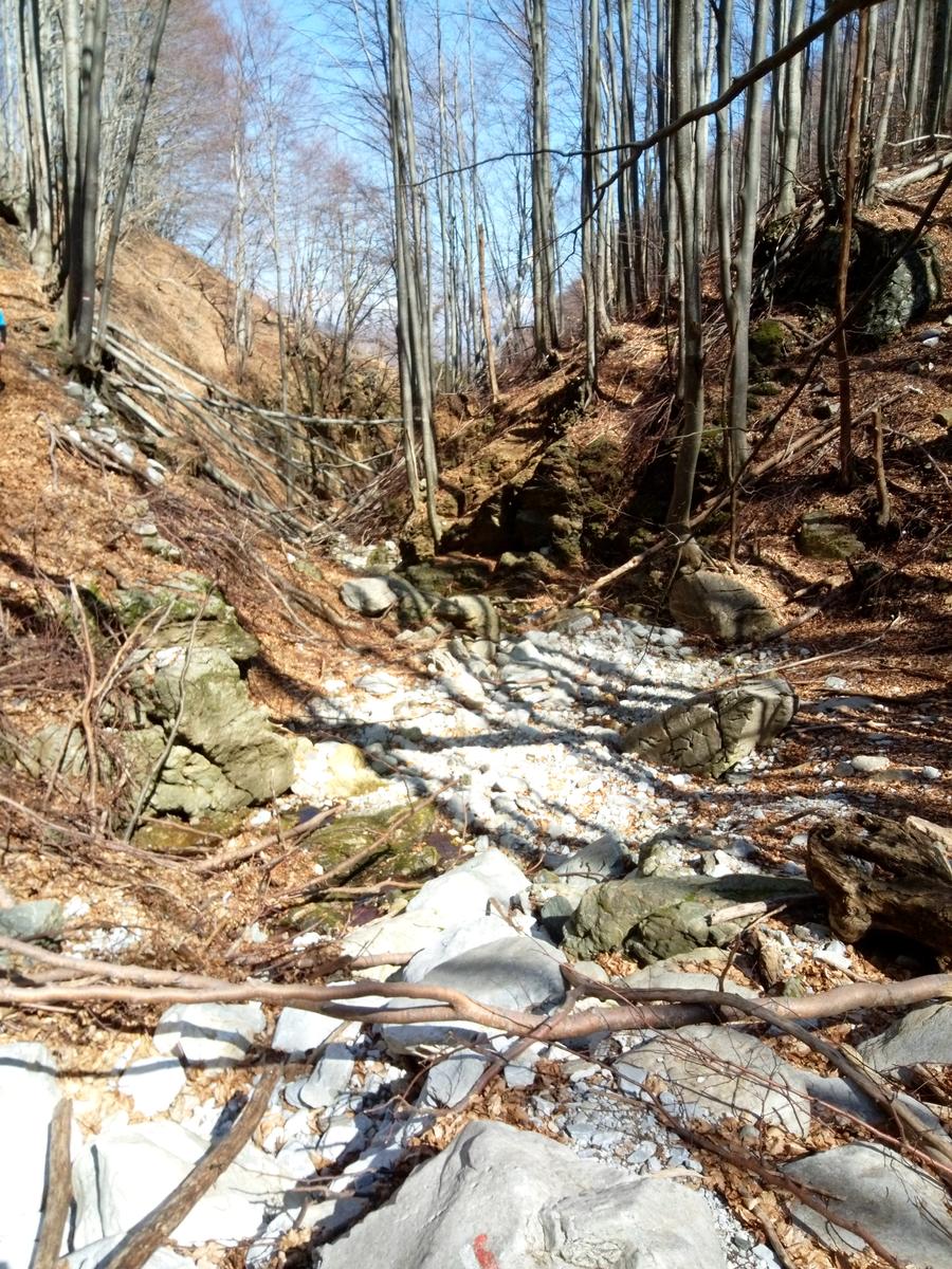 Isola Santa - Del Freo - Anello - foto 17