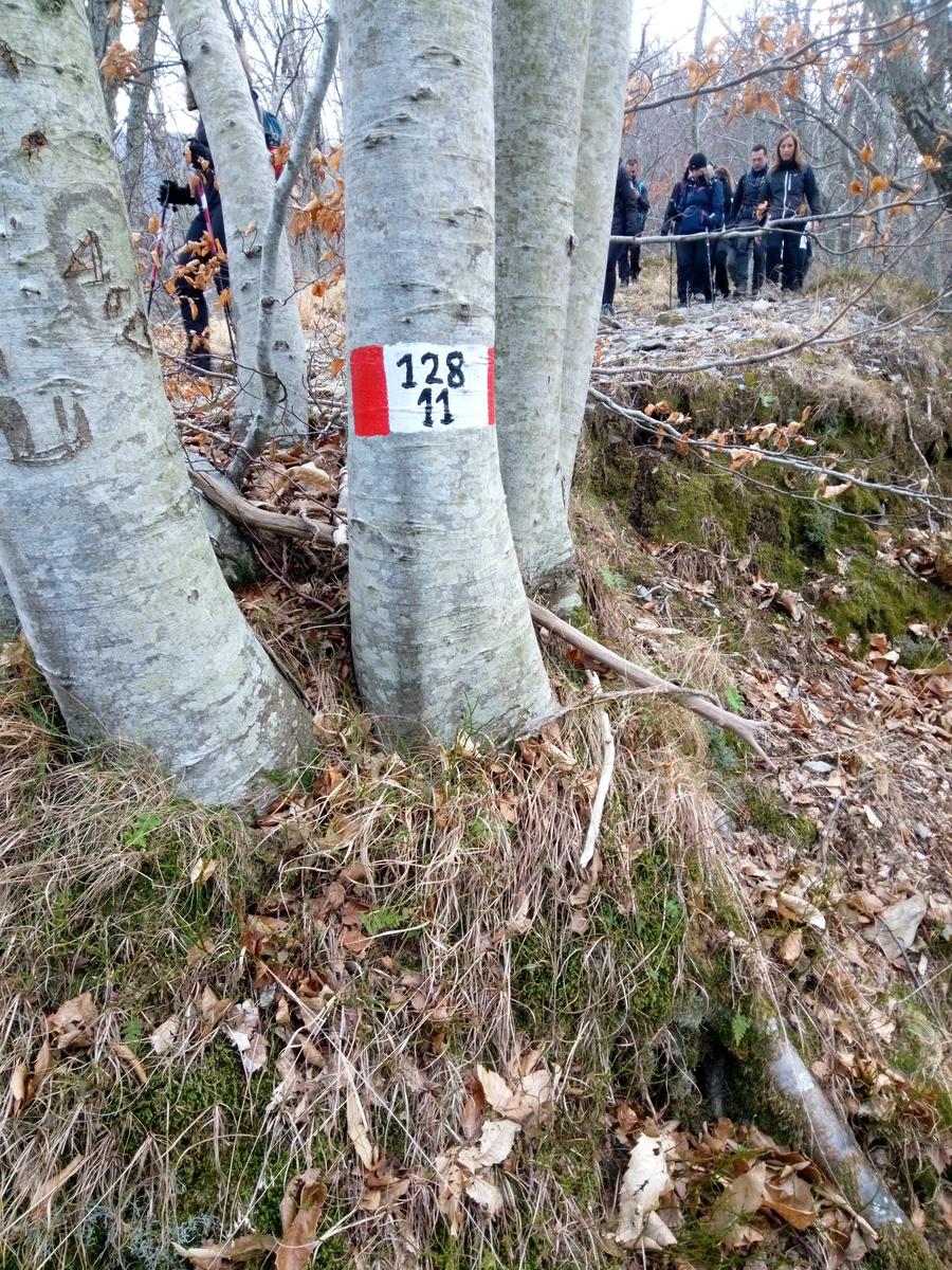 Isola Santa - Del Freo - Anello - foto 19