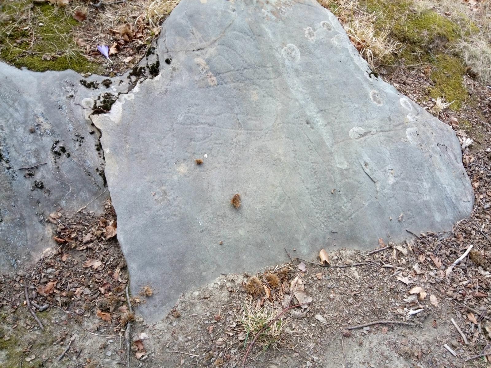 Isola Santa - Del Freo - Anello - foto 21