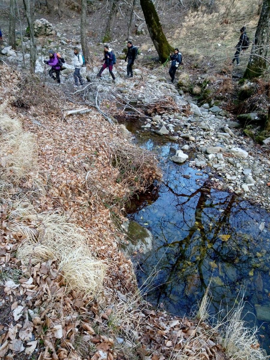 Isola Santa - Del Freo - Anello - foto 22