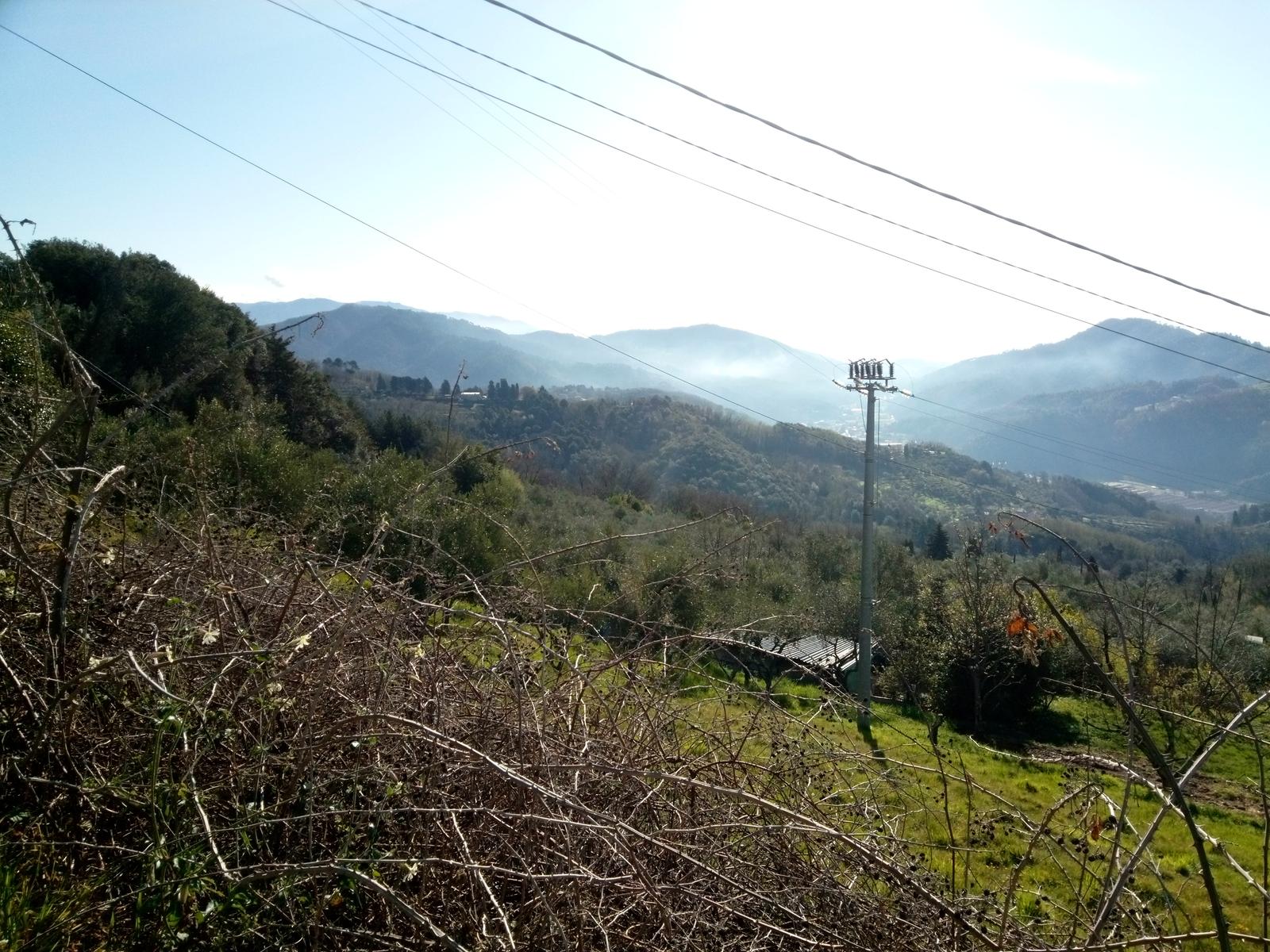 Monte Rondinaio - Lucca - foto 2