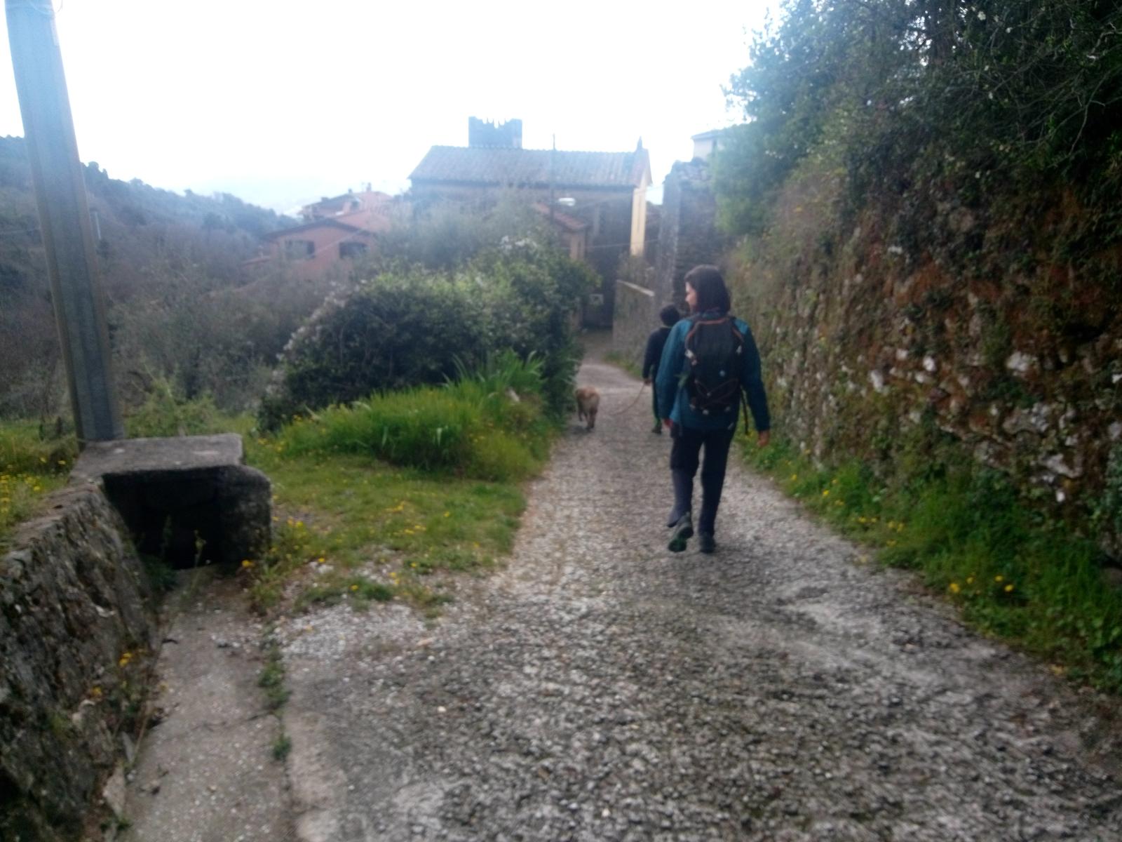 Monte Rondinaio - Lucca - foto 3