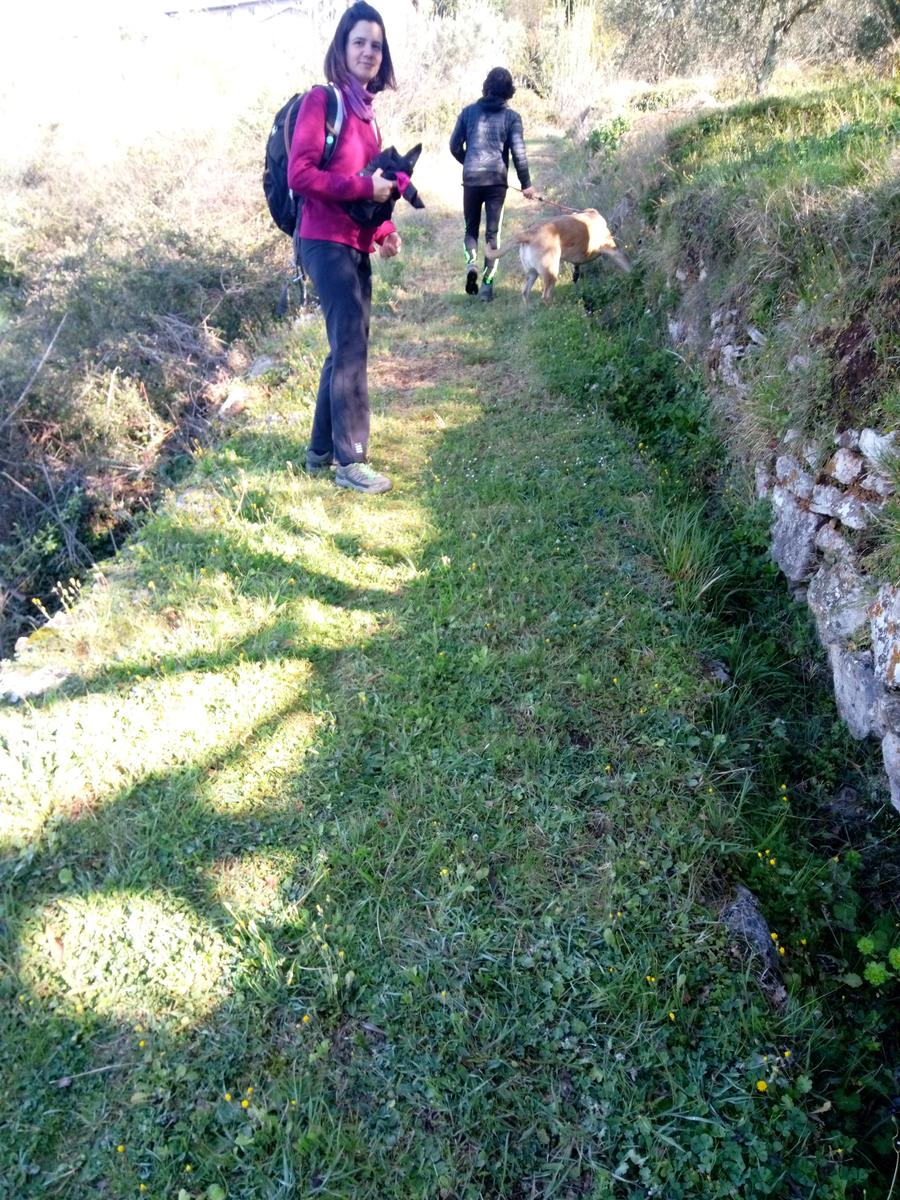 Monte Rondinaio - Lucca - foto 5