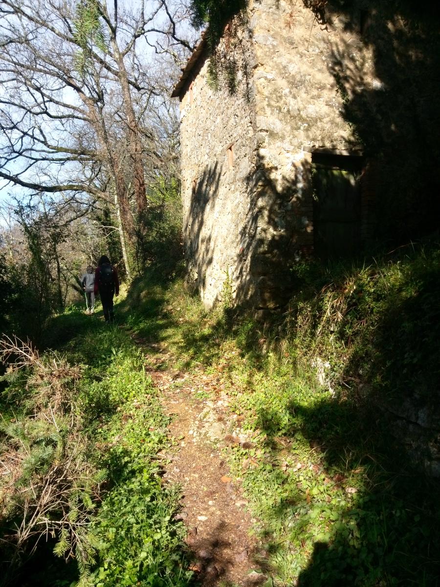 Monte Rondinaio - Lucca - foto 6