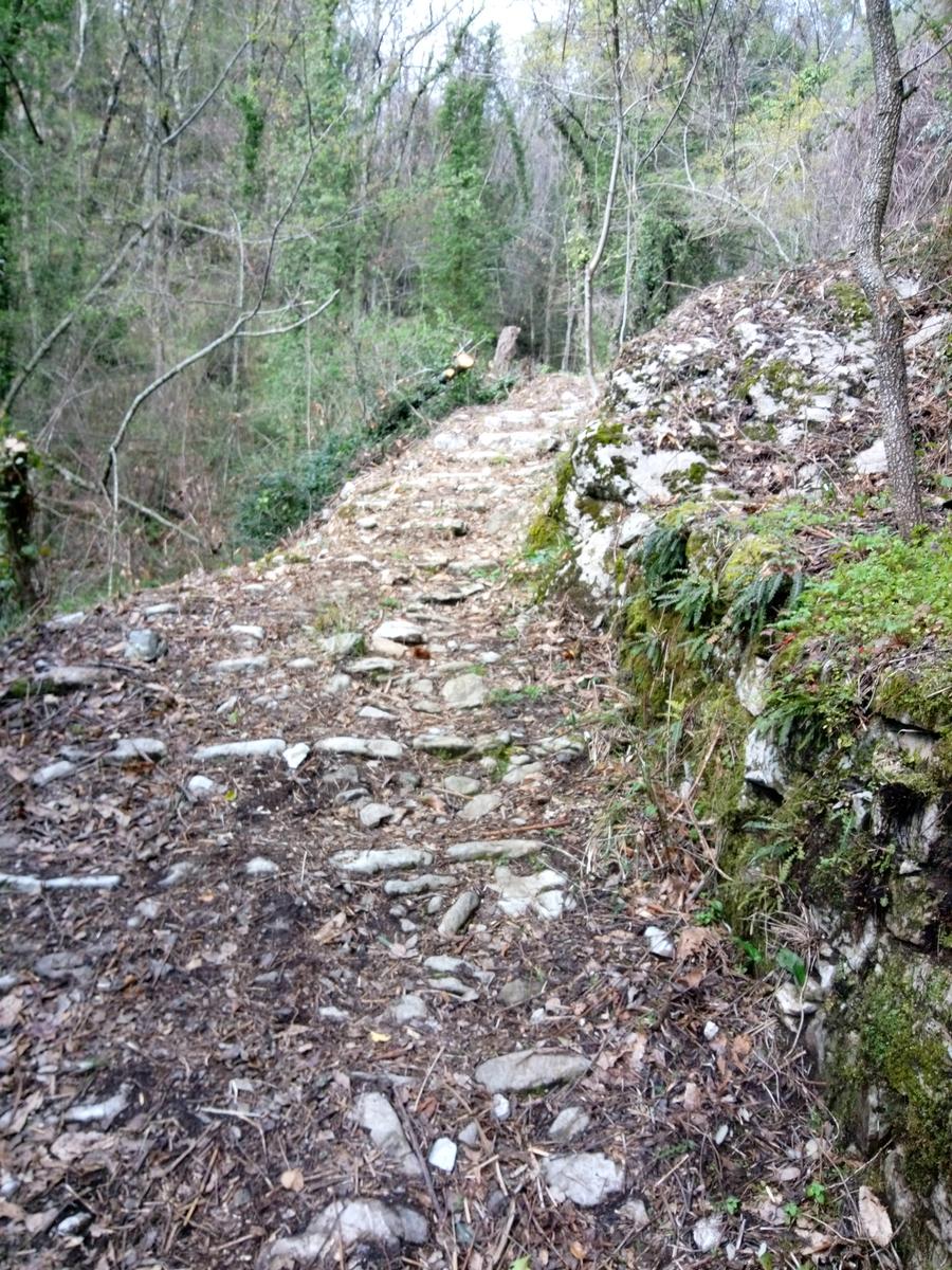 Monte Rondinaio - Lucca - foto 7