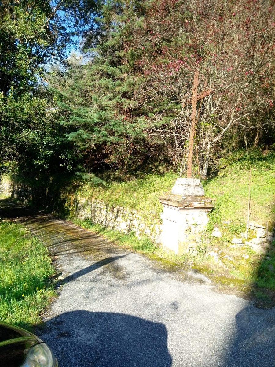 Monte Rondinaio - Lucca - foto 8