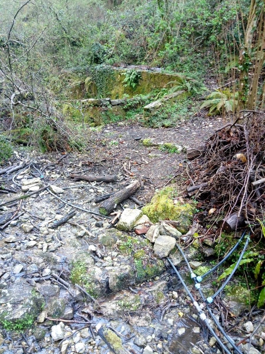 Monte Rondinaio - Lucca - foto 9