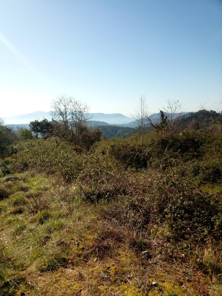 Monte Rondinaio - Lucca - foto 10